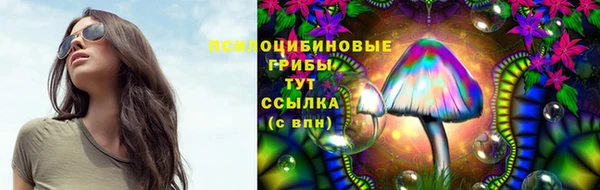 марки lsd Богданович