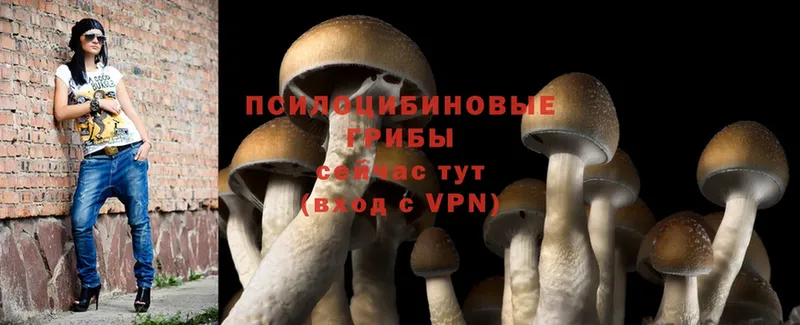 Галлюциногенные грибы MAGIC MUSHROOMS  OMG ссылки  Верхняя Тура  как найти закладки 